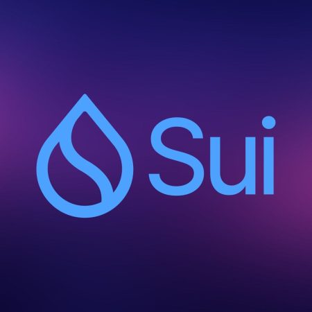 Sui: Entenda a criptomoeda que está transformando a Web3